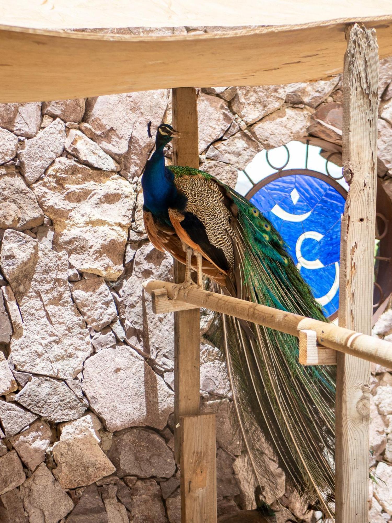 Posada Balaprada Vendégház Ensenada Kültér fotó